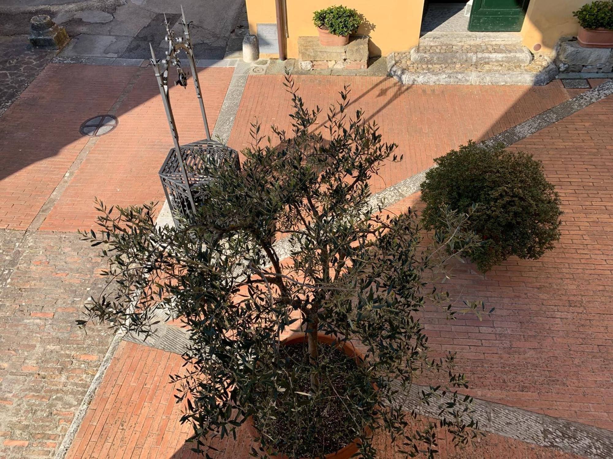 Villa Caprera Siena Habitación foto
