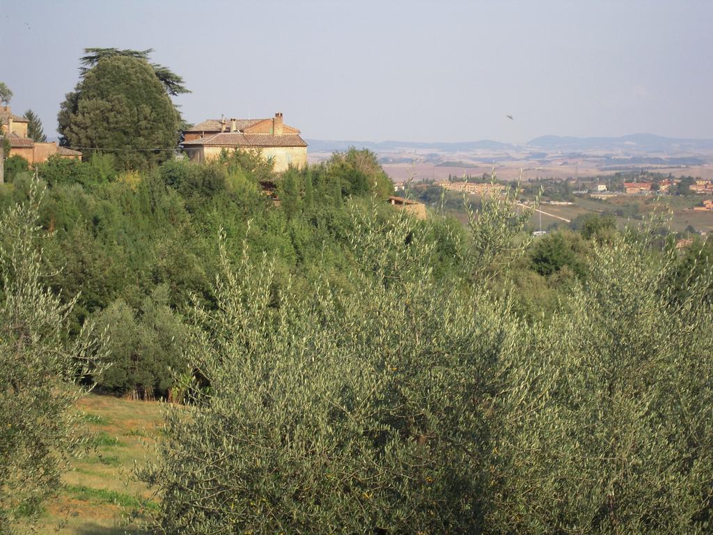 Villa Caprera Siena Exterior foto